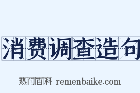 消费调查造句是什么意思的图片